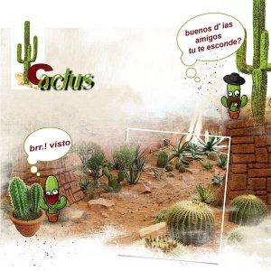 défi cactus