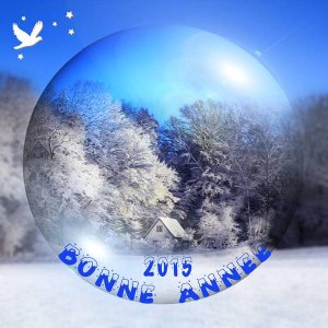 bonne_ann__e_20152