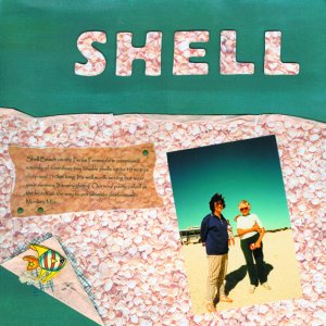 Shell Beach 1