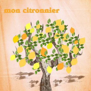 citronnier2015