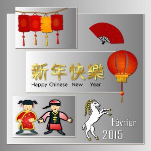 NOUVEL AN CHINOIS - FEVRIER 2015