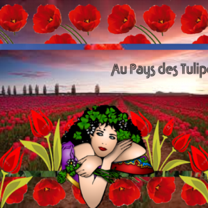 Au Pays des Tulipes