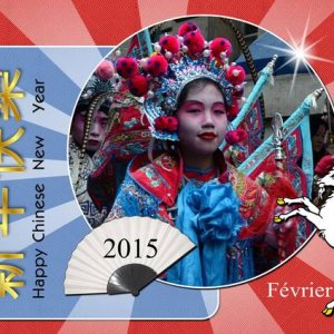 NOUVEL AN CHINOIS - 19 FEVRIER 2015
