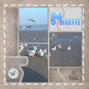 template animal - Mouette -