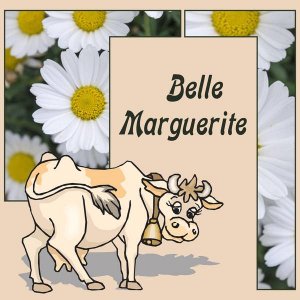 DEUX - BELLE MARGUERITE