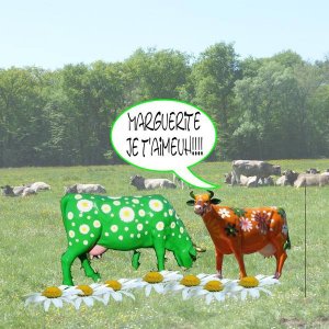 défi vache