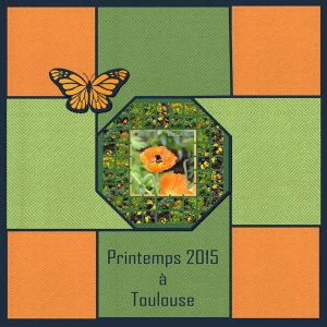 PRINTEMPS 2015 A TOULOUSE