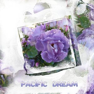 Pacific dream