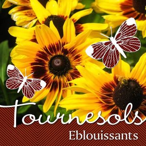 EBLOUISSANTS TOURNESOLS