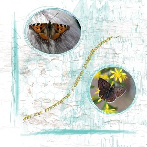 d__fi-insecte-Gilberte
