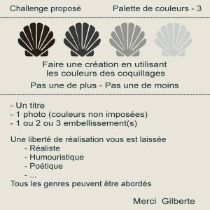 1-CHALLENGE - PALETTE DE COULEURS - 3