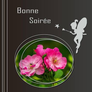 BONNE SOIREE | Forum Le monde du Scrap