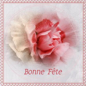 BONNE FETE A TOUTES LES ROSE-ROSA-ROSELINE - - -