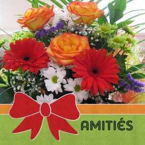 AMITIES