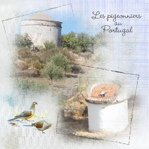 Pigeonnier_au_Portugal