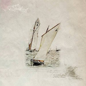 Dans la baie de Morlaix - juillet 2015