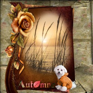Automne__page_1_1