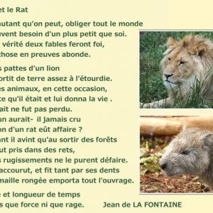 LE LION ET LE RAT - JEAN DE LA FONTAINE