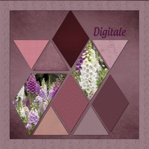 digitale