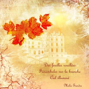 Feuilles rouillées