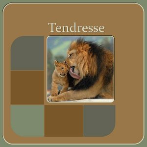 2-TENDRESSE