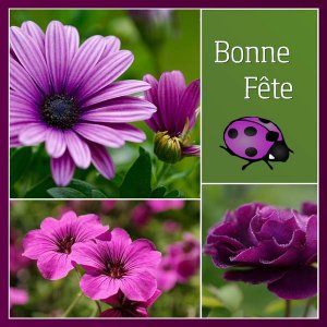 BONNE FETE A TOUTES LES ANDREE - BONNE FETE A TOUS LES ANDRE