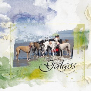 Les Galgos