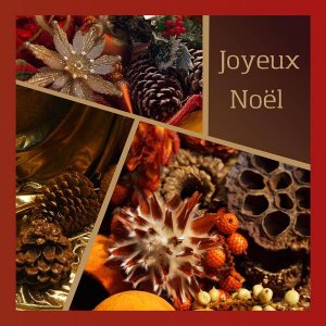 6-CARTE DE NOEL