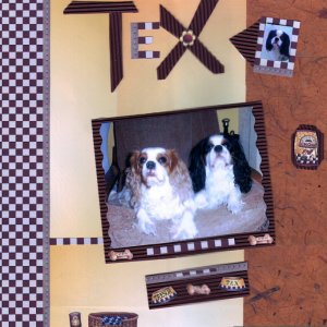 Tex  et Tresor page 1