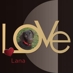 LOVE LANA