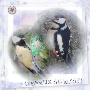 Oiseaux_du_jardin_2