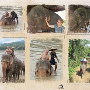 34 - Camp d'éléphants