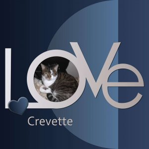 LOVE CREVETTE