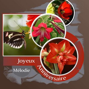 MELODIE - JOYEUX ANNIVERSAIRE