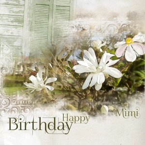 Bon anniversaire Mimi