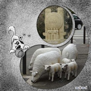 les moutons........