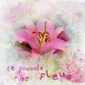 le pouvoir d'une fleur