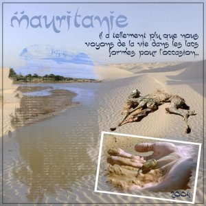 Mauritanie 2004