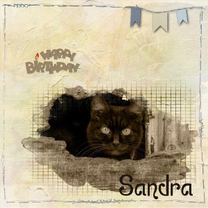 Bon anniversaire Sandra