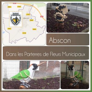 ABSCON - DANS LES PARTERRES DE FLEURS MUNICIPAUX