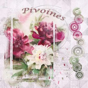 Pivoines4