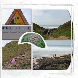 surf en Bretagne ... le "goulet" de Brest