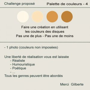 1-CHALLENGE - PALETTE DE COULEURS