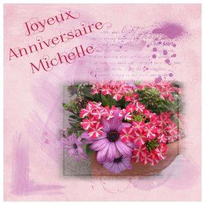 Bon anniversaire Michelle