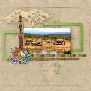 Sur le chemin des éléphants