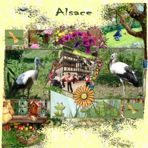Un petit tour en Alsace