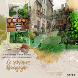 Les_vignes_en_Bourgogne