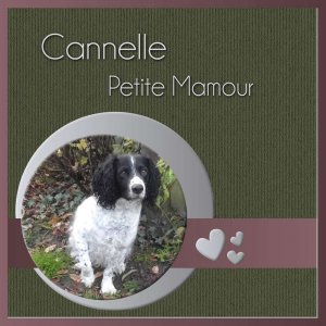 3-REALISATION - CANNELLE PETITE MAMOUR