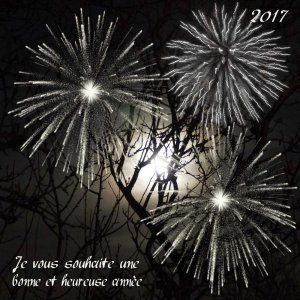 Bonne année 2017 en noir