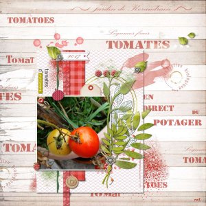 tomates_de_keraudrain